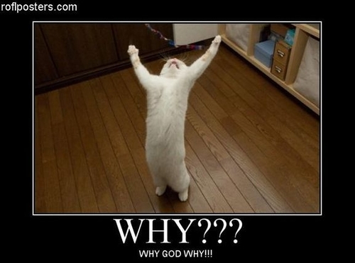 「なぜ？」に答えるコンテンツが重要